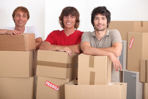 Checklist and packing materials for a house move in Chiswick